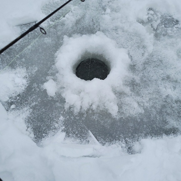 Meet your Posher, Nicole - Picture 1 of 1